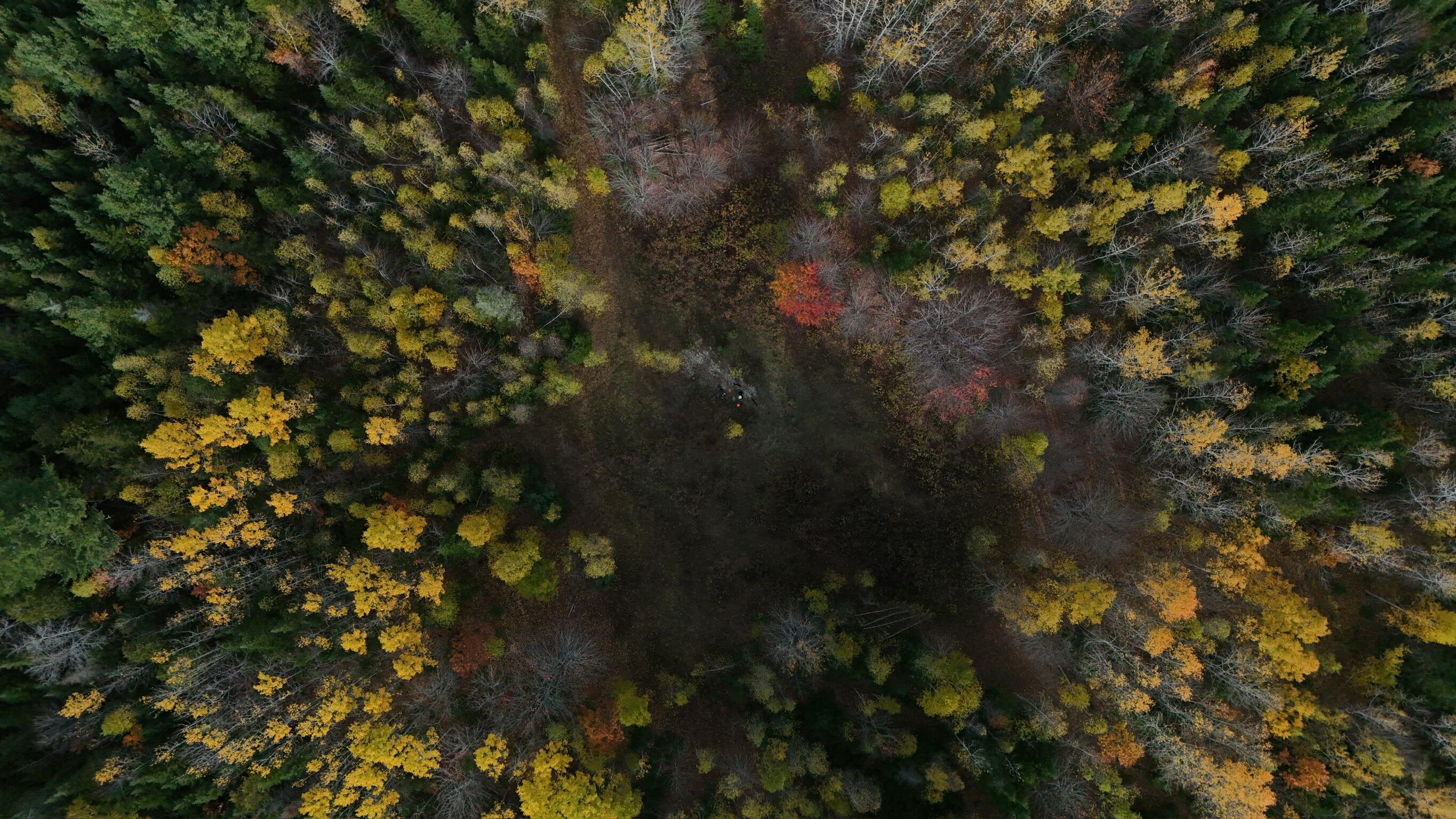 0 Babcock Road Newburgh, ME 04444 - Photo 14 of 52 IMG_0041