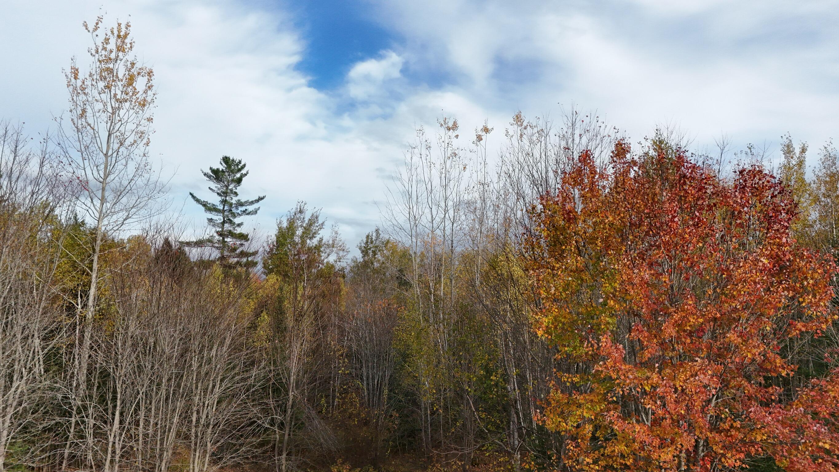 0 Babcock Road Newburgh, ME 04444 - Photo 17 of 52 NEWBURGH FALL 2