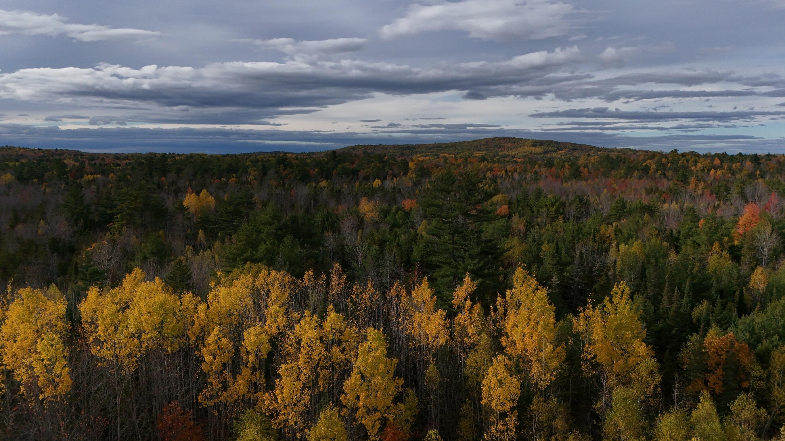 0 Babcock Road Newburgh, ME 04444 - Photo 18 of 52 IMG_0023