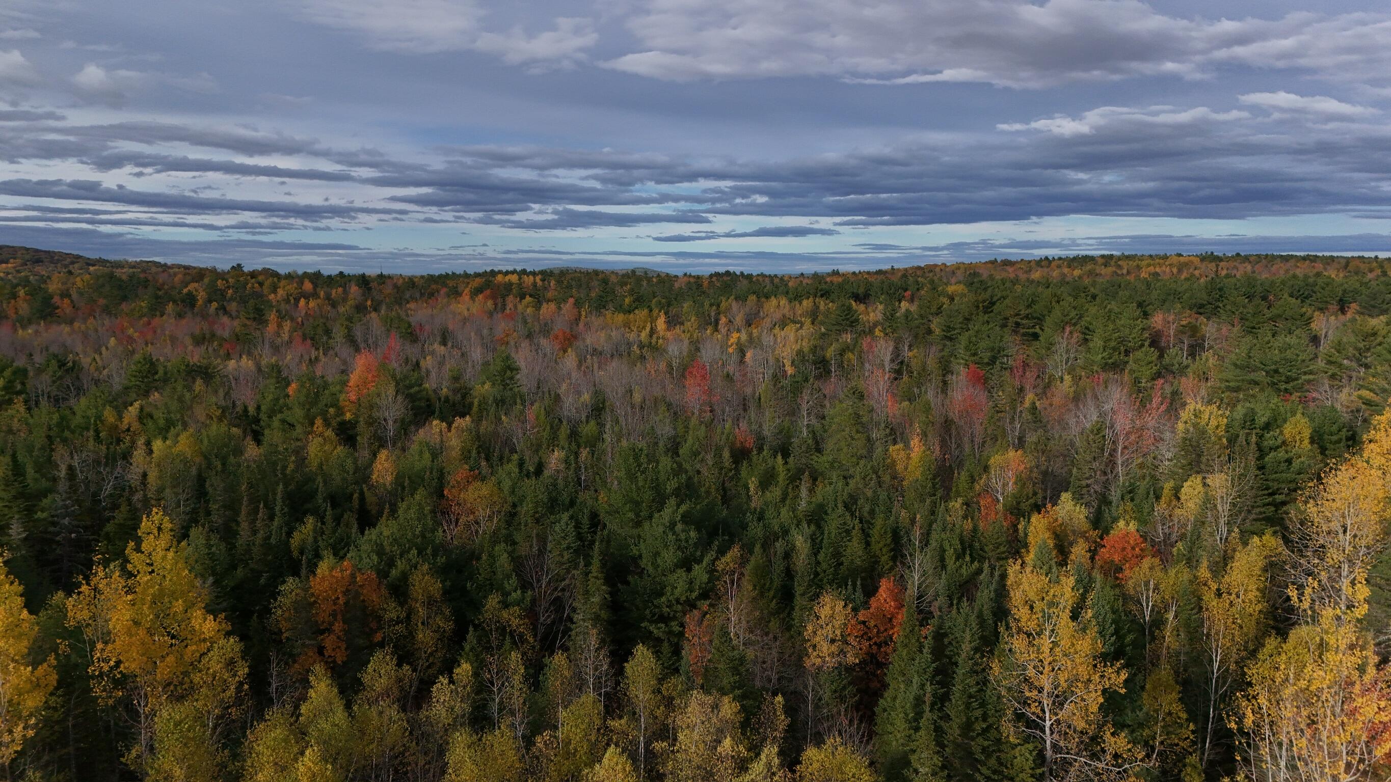 0 Babcock Road Newburgh, ME 04444 - Photo 19 of 52 IMG_0008
