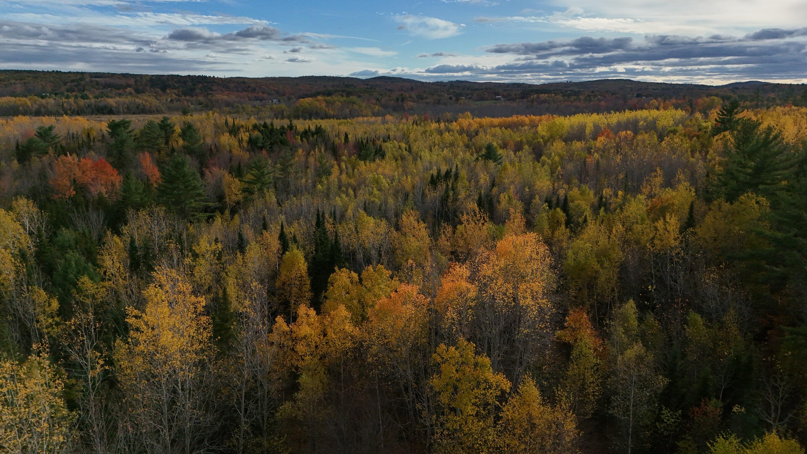0 Babcock Road Newburgh, ME 04444 - Photo 20 of 52 IMG_0036
