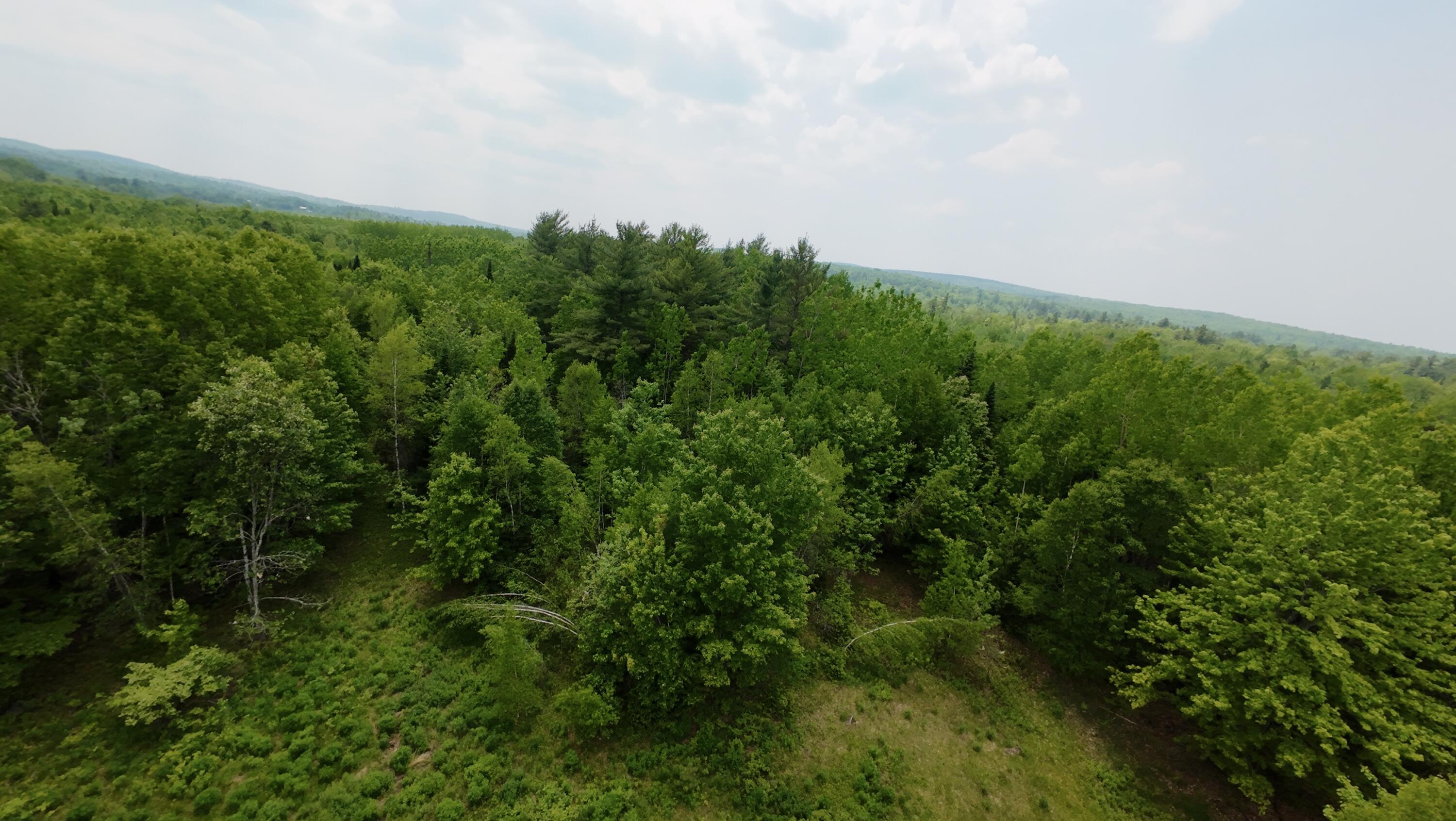 0 Babcock Road Newburgh, ME 04444 - Photo 2 of 52 1