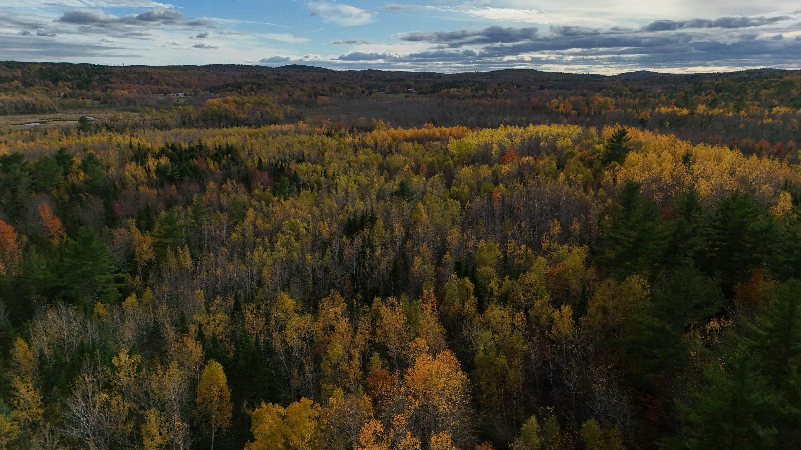 0 Babcock Road Newburgh, ME 04444 - Photo 22 of 52 IMG_0021