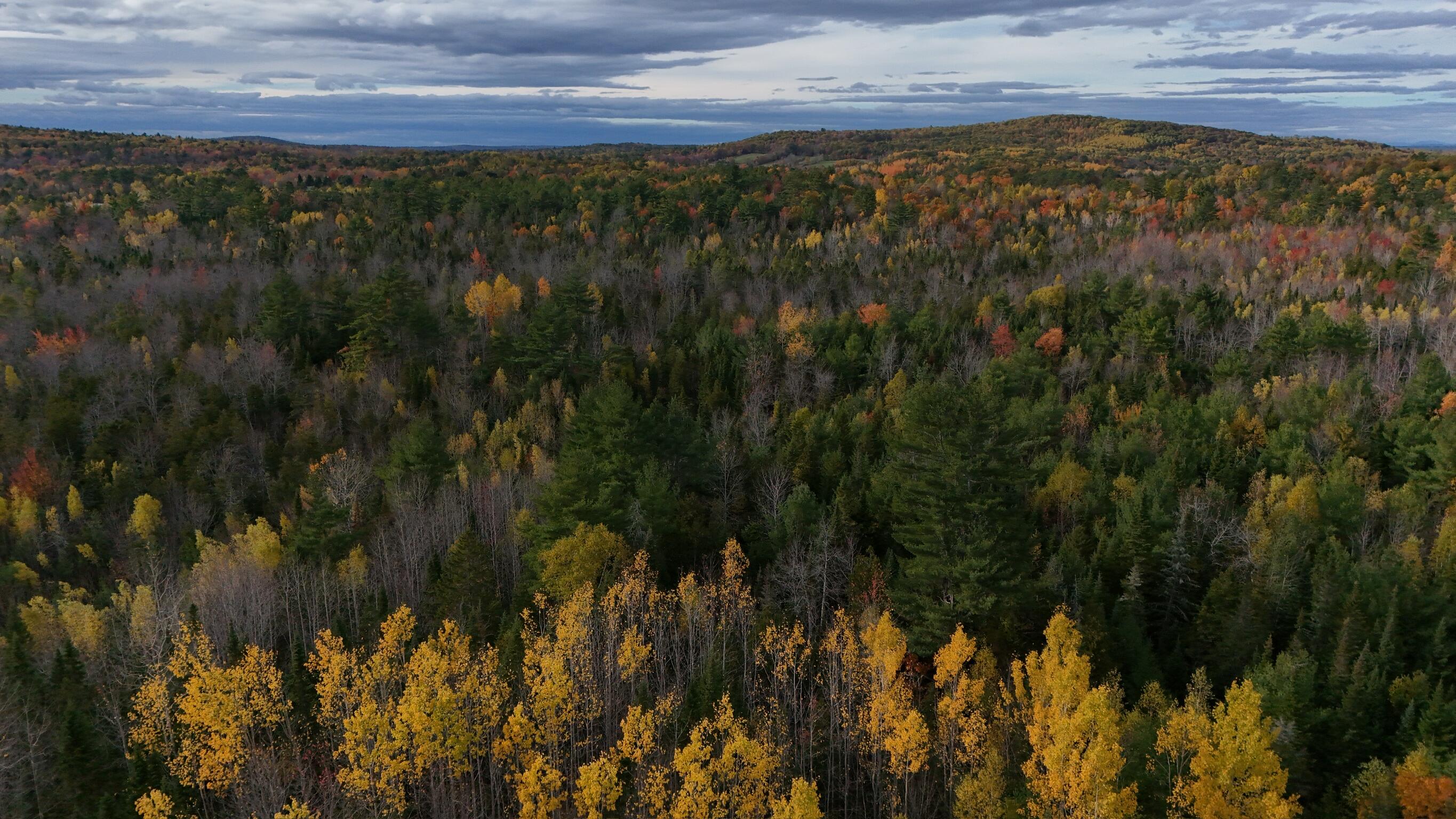 0 Babcock Road Newburgh, ME 04444 - Photo 23 of 52 IMG_0034