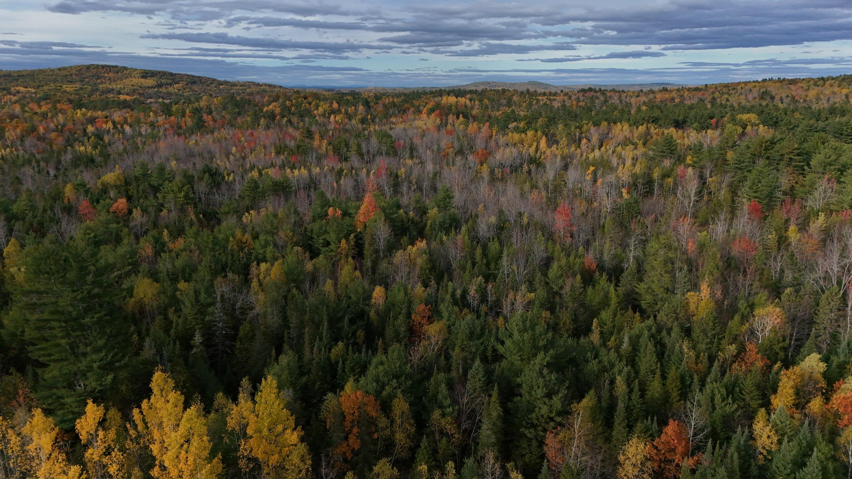 0 Babcock Road Newburgh, ME 04444 - Photo 24 of 52 IMG_0019