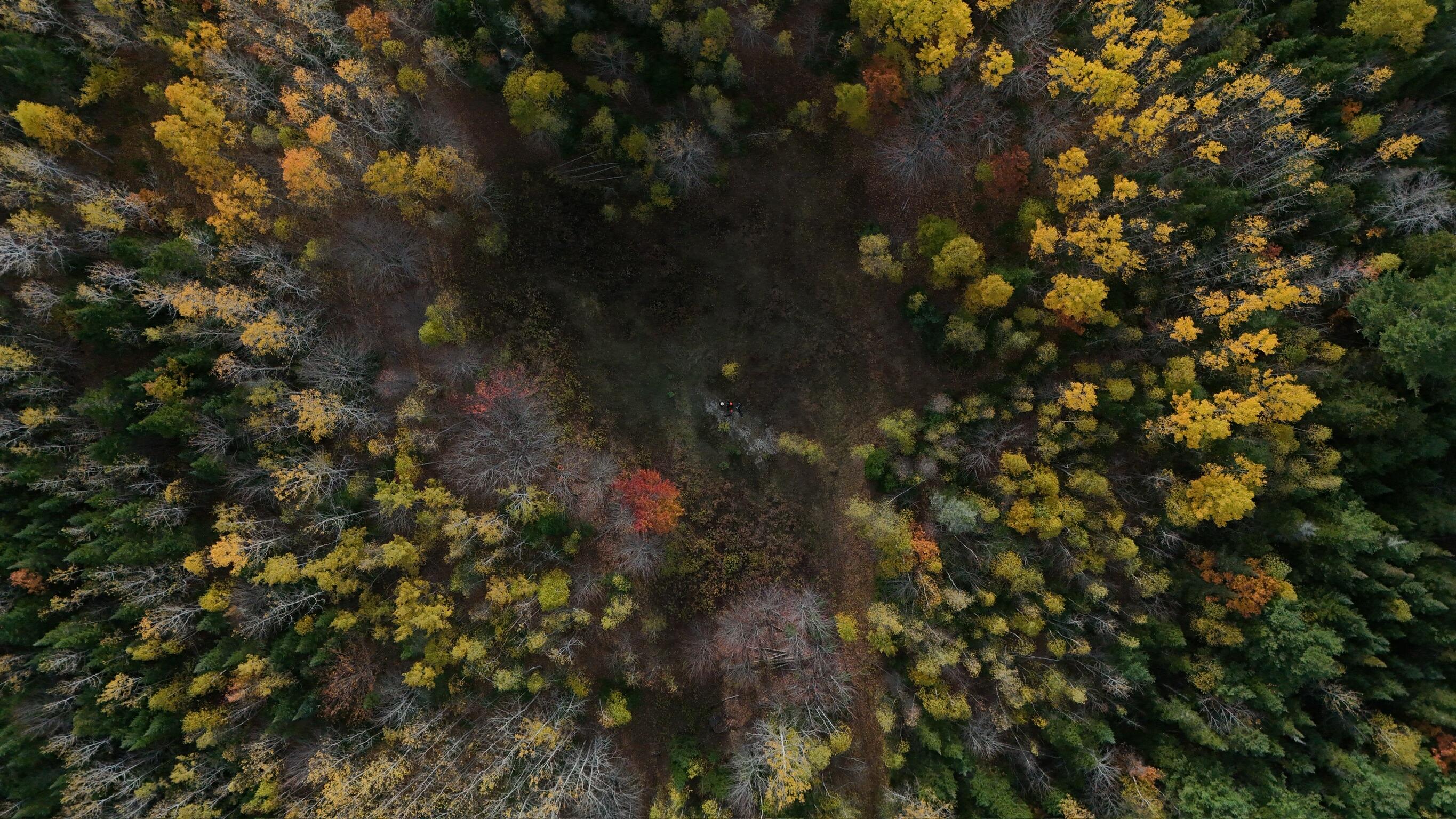 0 Babcock Road Newburgh, ME 04444 - Photo 26 of 52 IMG_0013