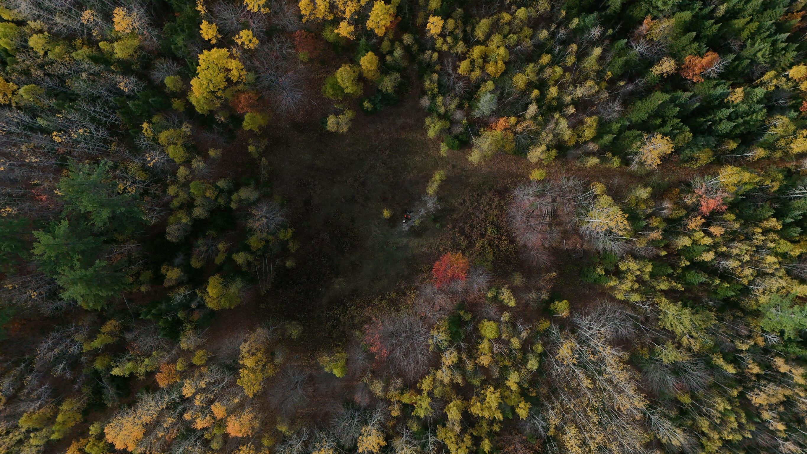 0 Babcock Road Newburgh, ME 04444 - Photo 29 of 52 IMG_0028