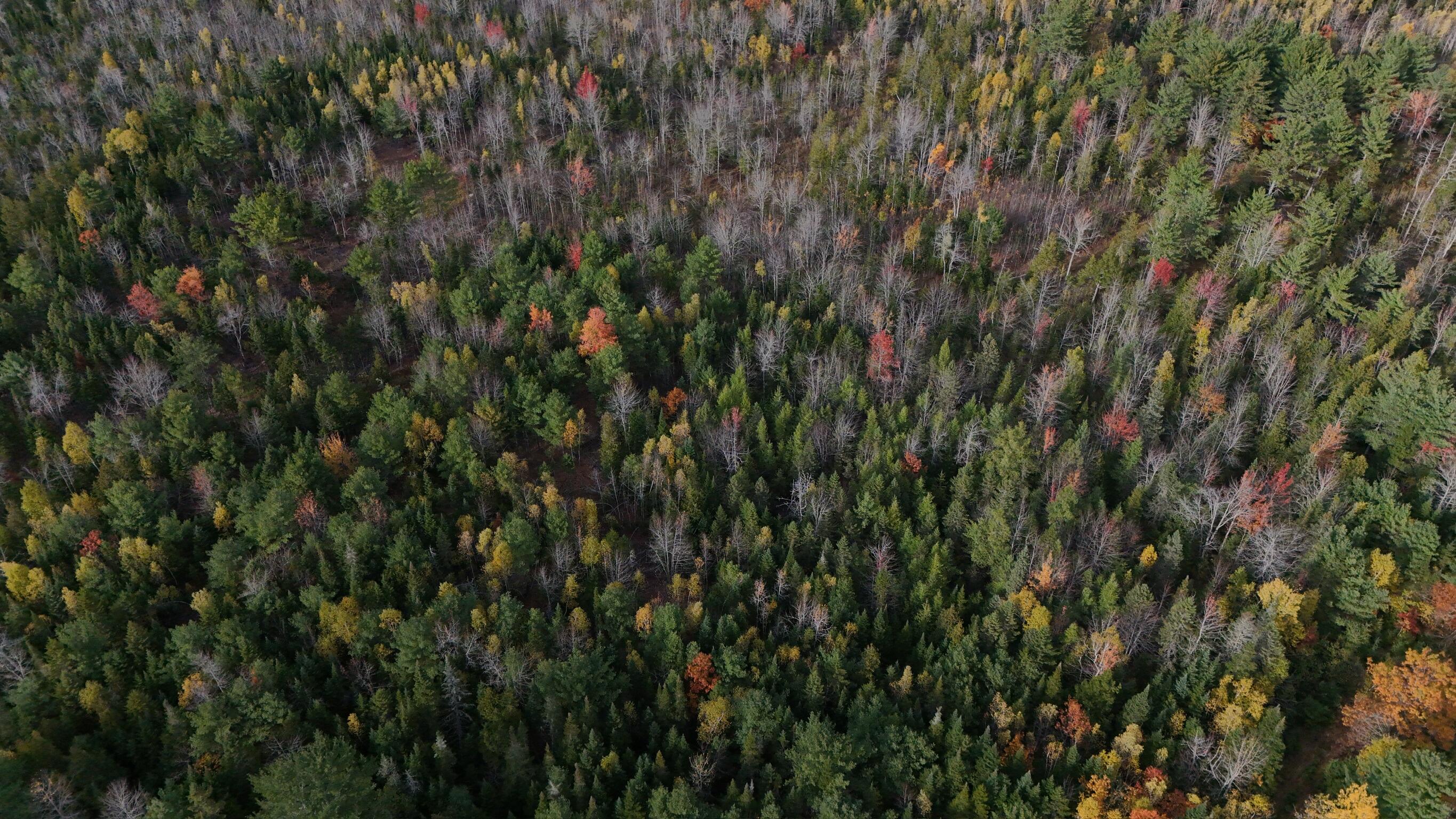 0 Babcock Road Newburgh, ME 04444 - Photo 30 of 52 IMG_0011