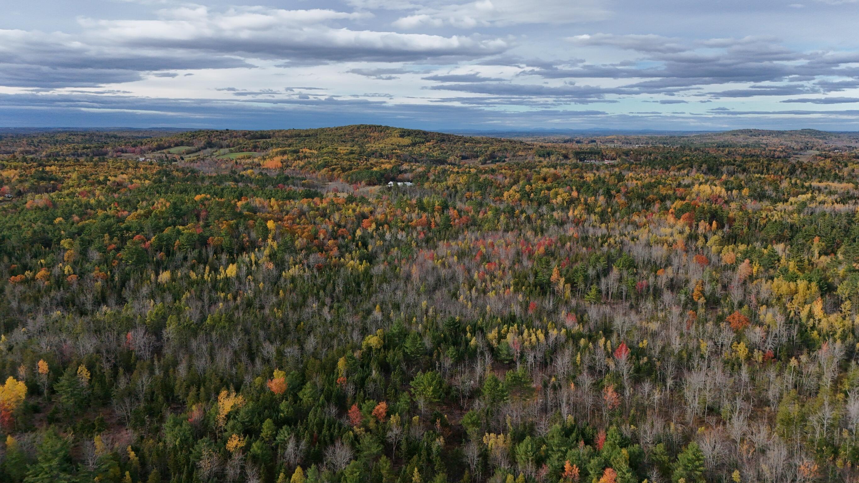 0 Babcock Road Newburgh, ME 04444 - Photo 34 of 52 IMG_0020