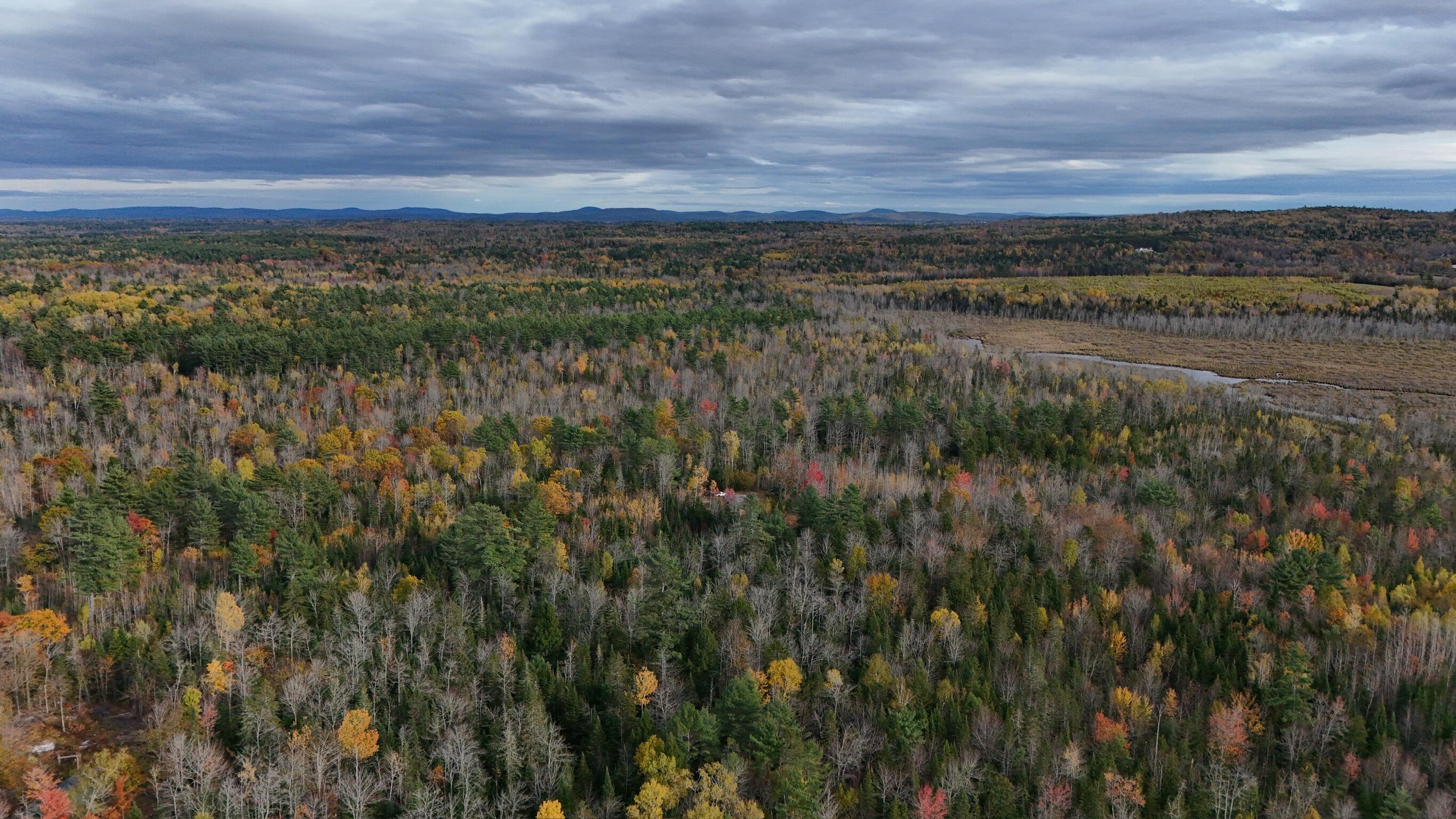 0 Babcock Road Newburgh, ME 04444 - Photo 35 of 52 IMG_0007