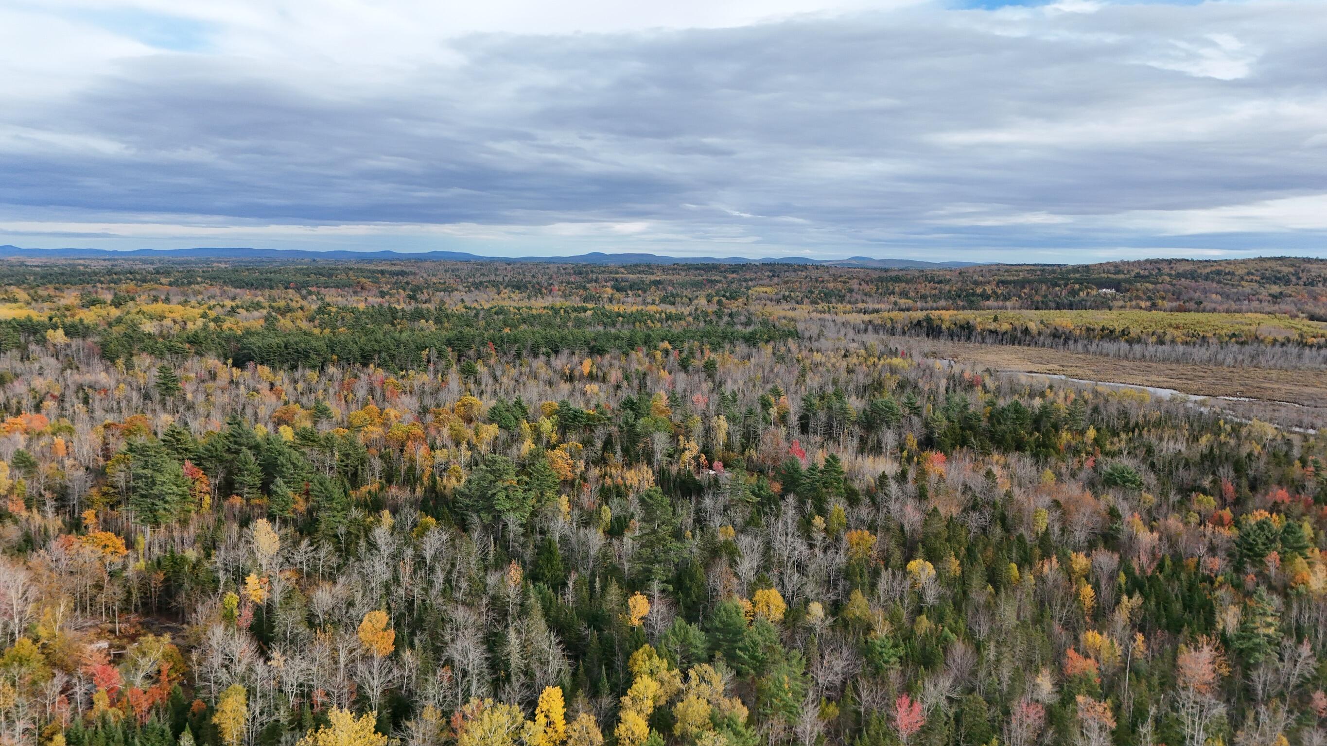 0 Babcock Road Newburgh, ME 04444 - Photo 38 of 52 IMG_0029
