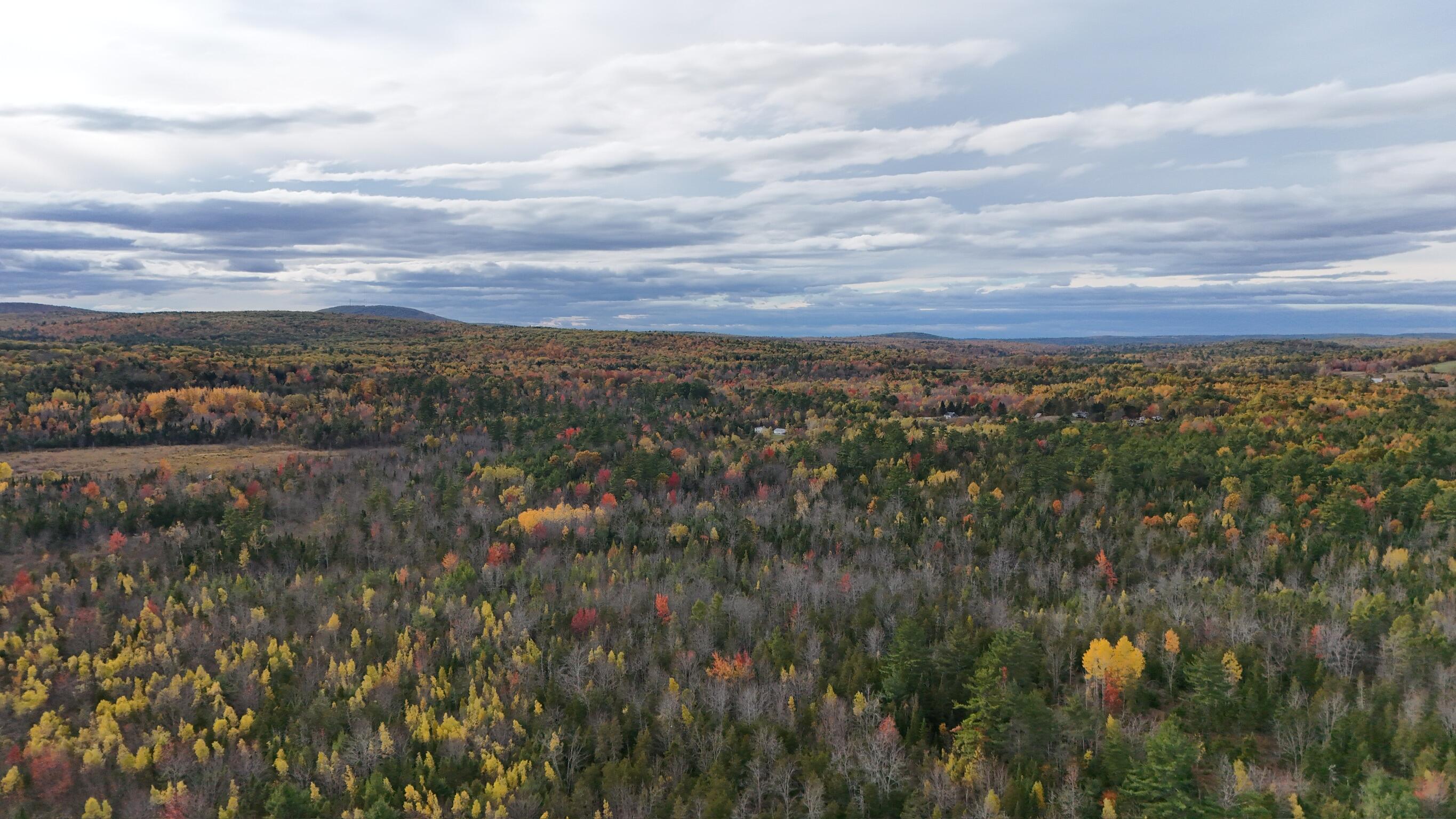 0 Babcock Road Newburgh, ME 04444 - Photo 39 of 52 IMG_0032