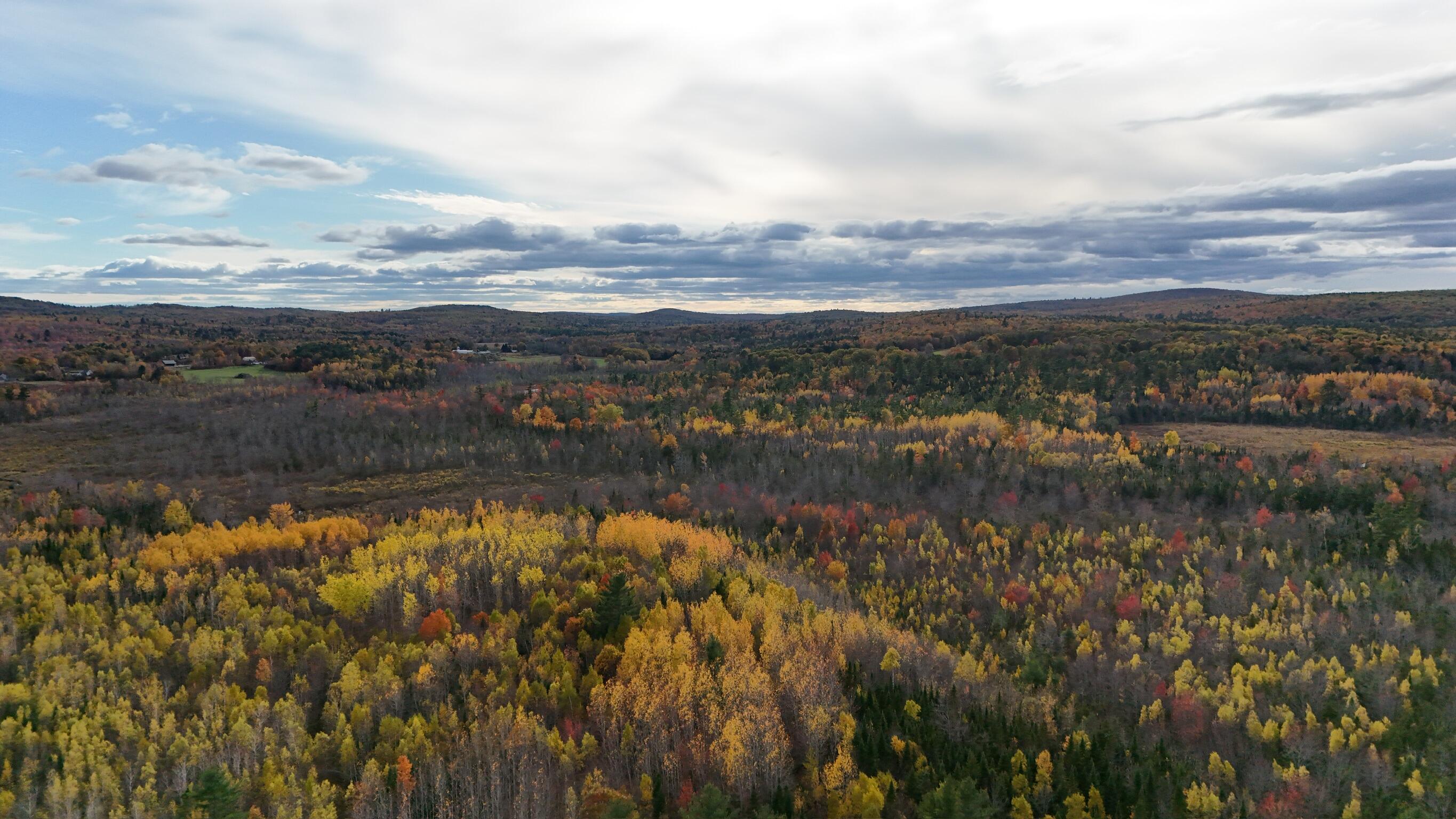 0 Babcock Road Newburgh, ME 04444 - Photo 40 of 52 IMG_0017