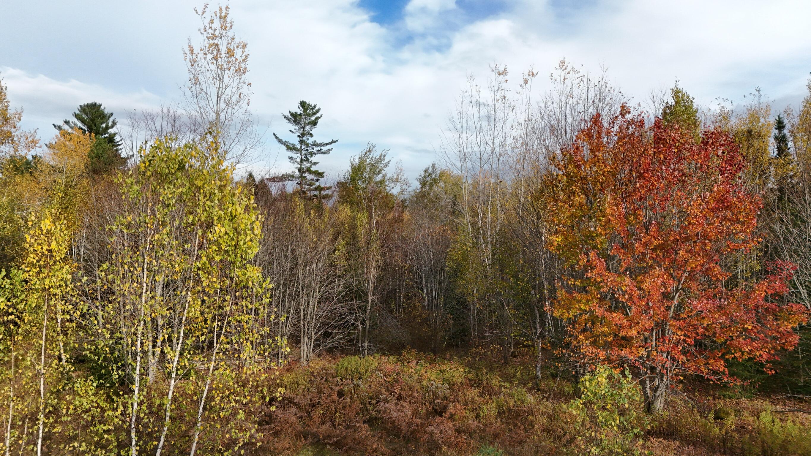 0 Babcock Road Newburgh, ME 04444 - Photo 4 of 52 Newburg Fall 1