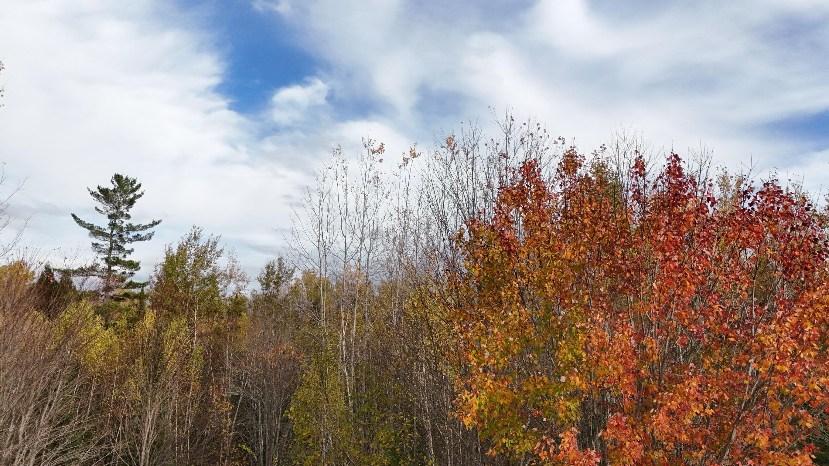 0 Babcock Road Newburgh, ME 04444 - Photo 41 of 52 IMG_0030