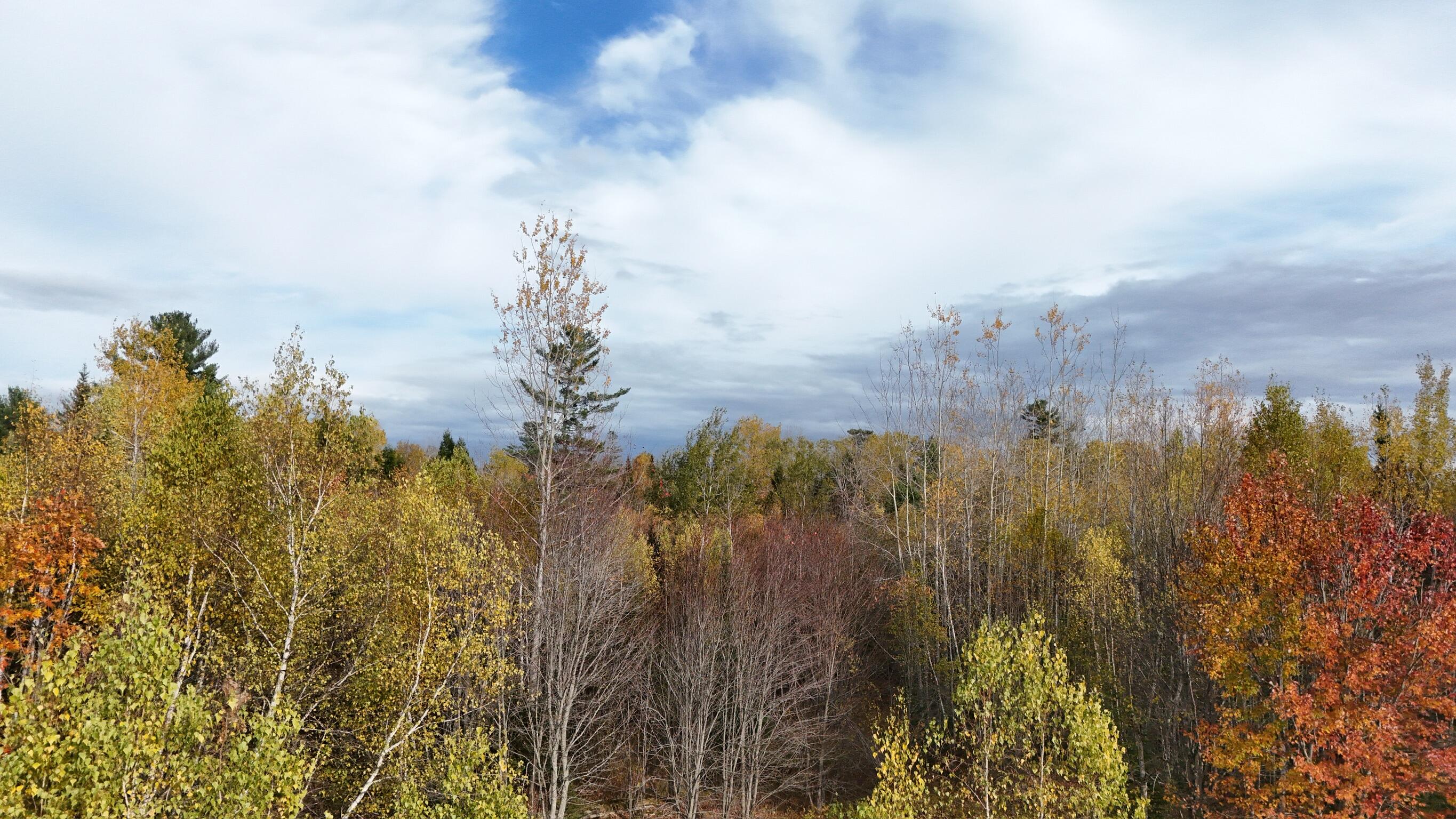 0 Babcock Road Newburgh, ME 04444 - Photo 43 of 52 IMG_0042