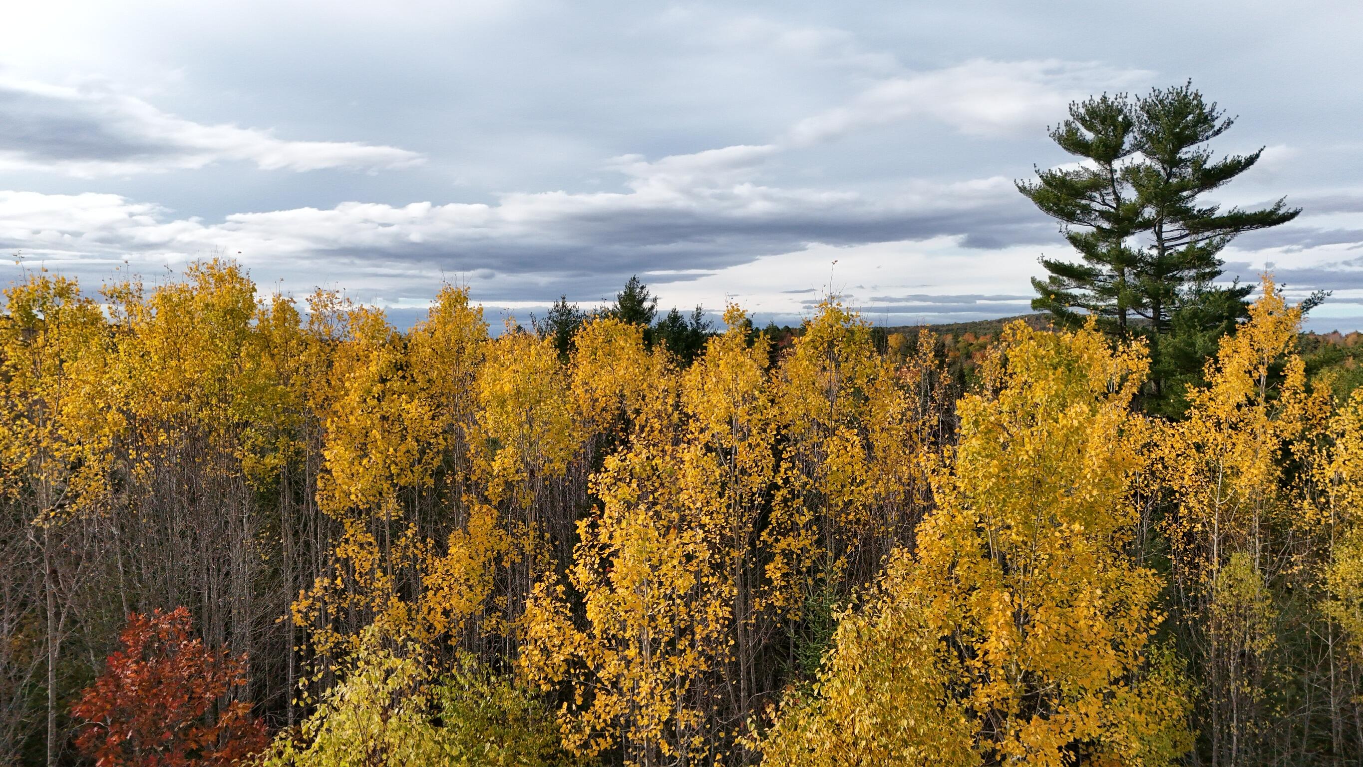 0 Babcock Road Newburgh, ME 04444 - Photo 45 of 52 IMG_0025
