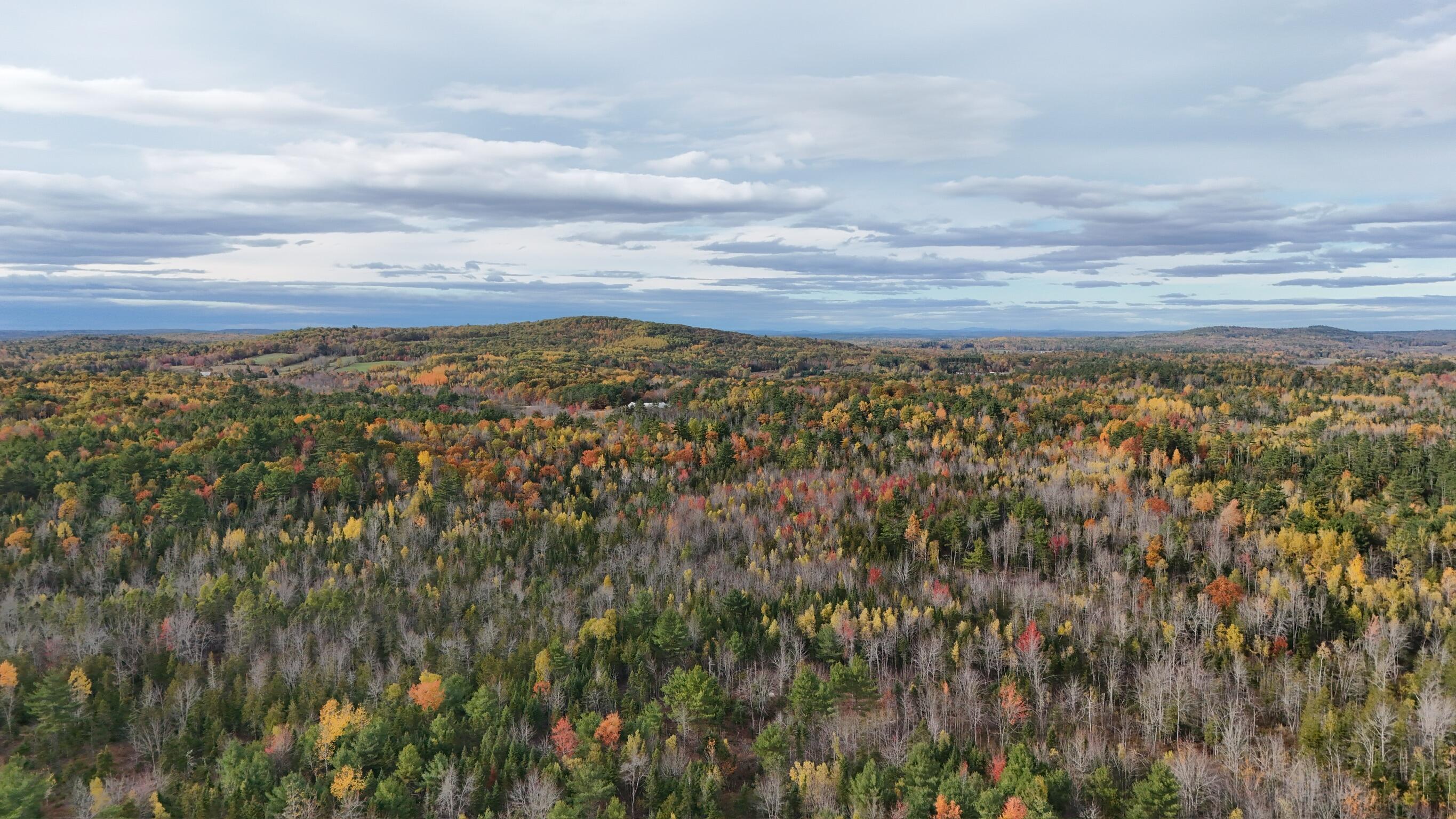 0 Babcock Road Newburgh, ME 04444 - Photo 46 of 52 IMG_0005