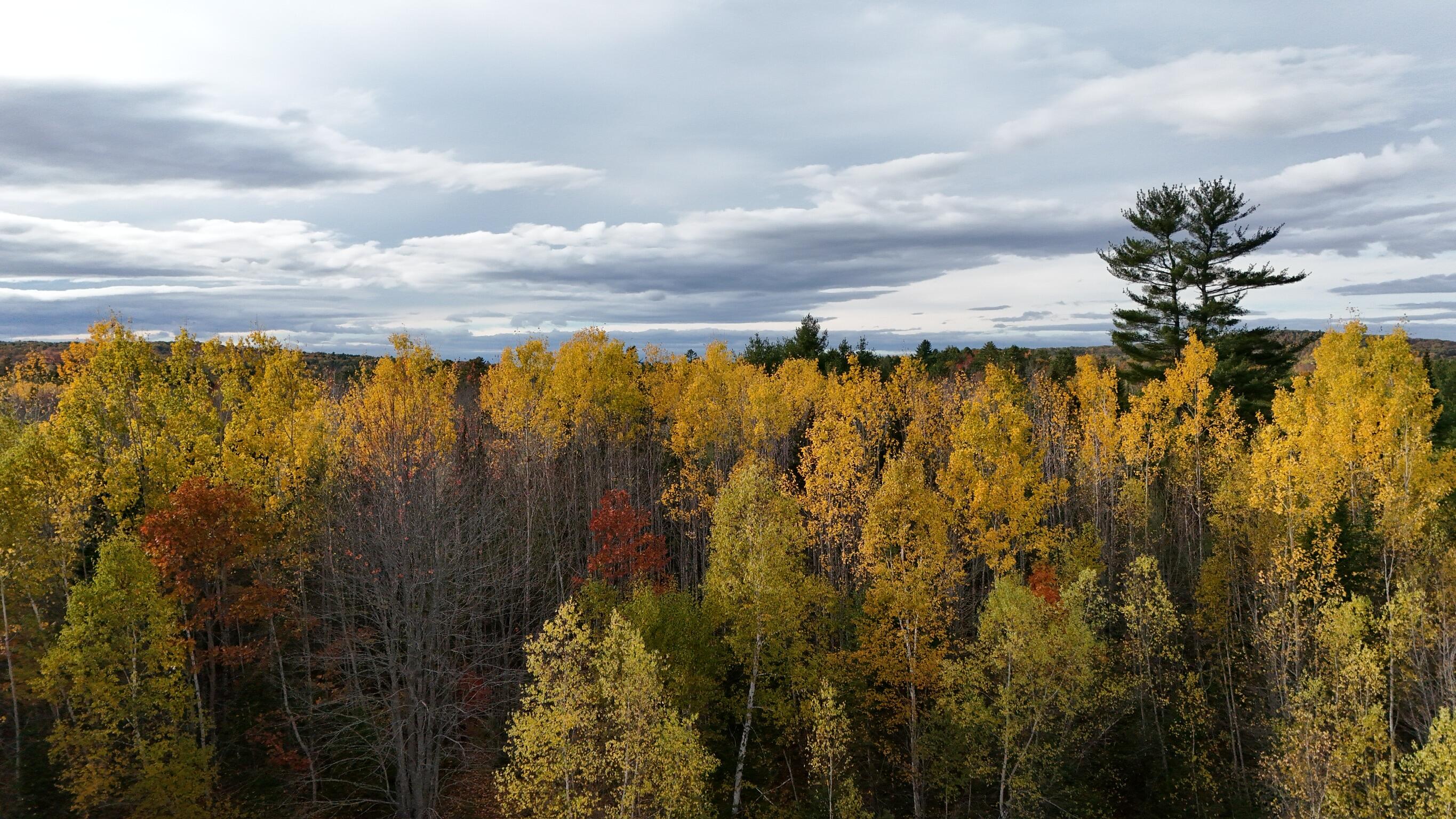 0 Babcock Road Newburgh, ME 04444 - Photo 49 of 52 IMG_0010
