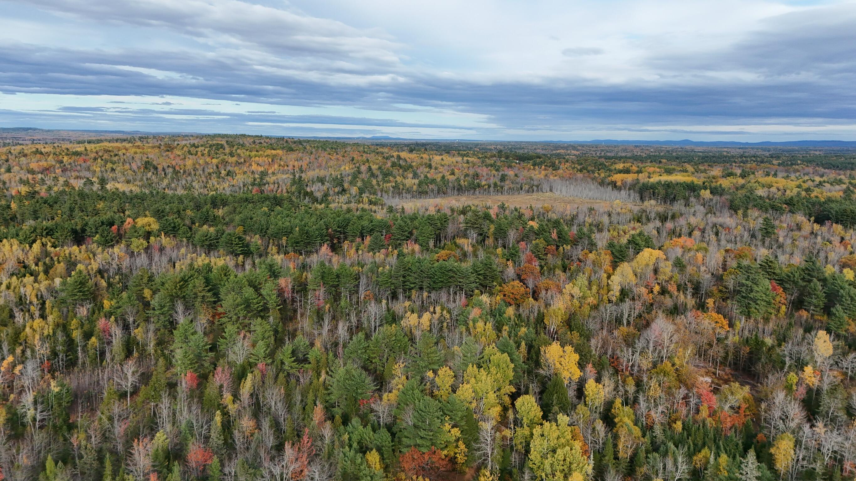 0 Babcock Road Newburgh, ME 04444 - Photo 51 of 52 IMG_0014
