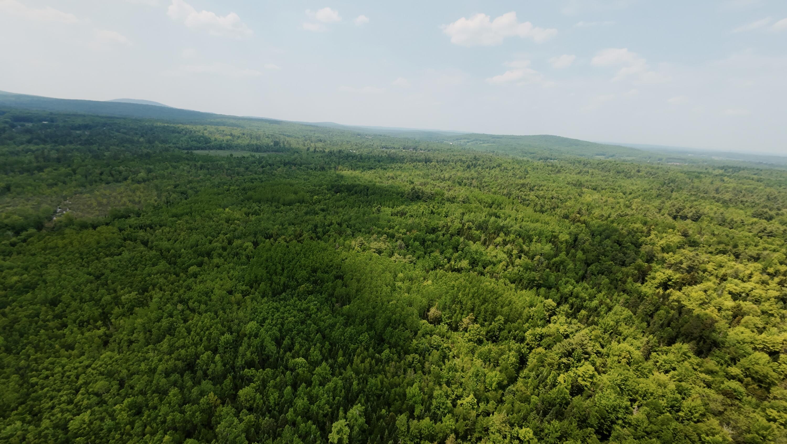 0 Babcock Road Newburgh, ME 04444 - Photo 10 of 52 8