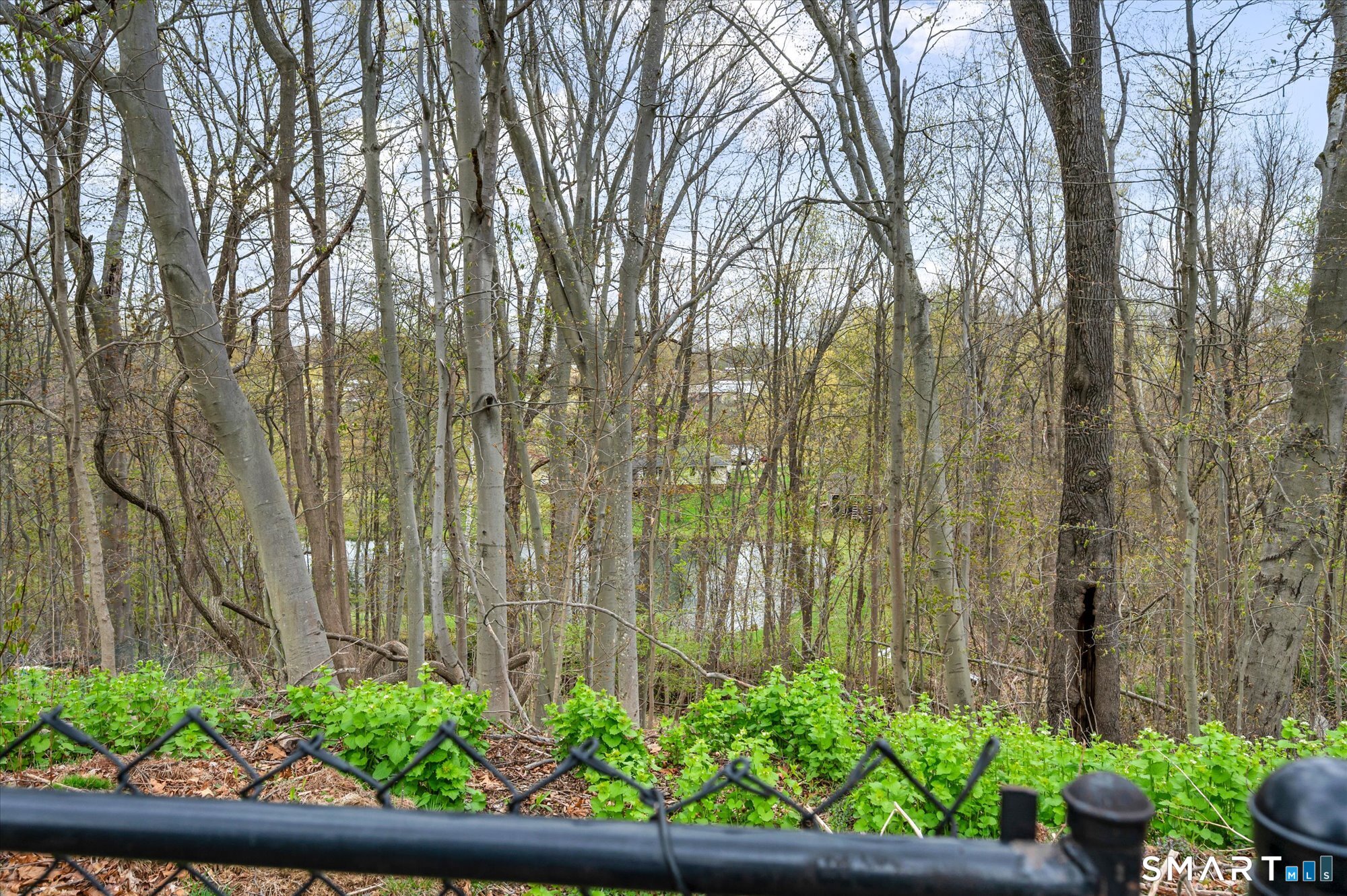 142 Old Stagecoach Road Meriden, CT 06450 - Photo 39 of 40