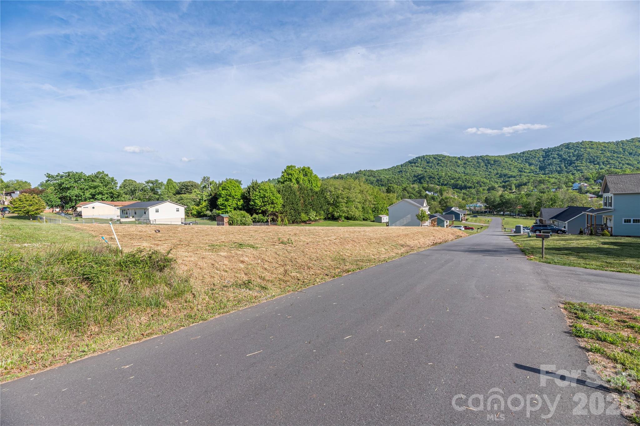 0 Ridgeview Drive Clyde, NC 28721 - Photo 12 of 12