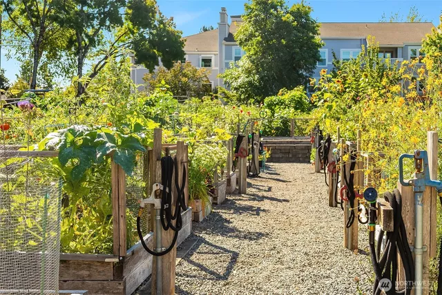 a view of a yard with plants
