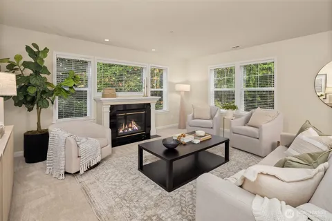 a living room with furniture a fireplace a window and a flat screen tv