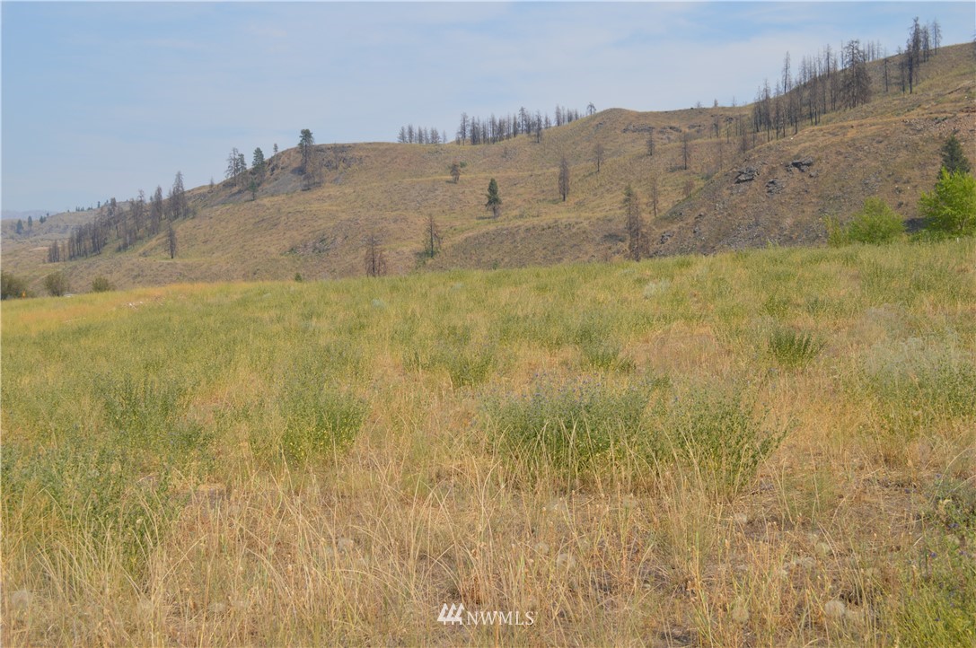 2 Ross Road Twisp, WA 98856 - Photo 1 of 5 Gallery Image 1