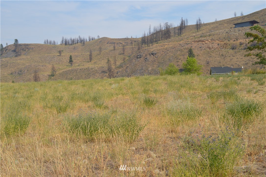 2 Ross Road Twisp, WA 98856 - Photo 2 of 5 Gallery Image 2