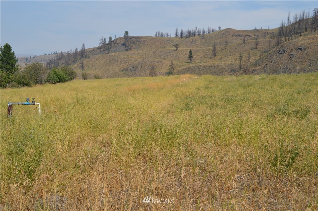 2 Ross Road Twisp, WA 98856 - Photo 3 of 5 Gallery Image 3