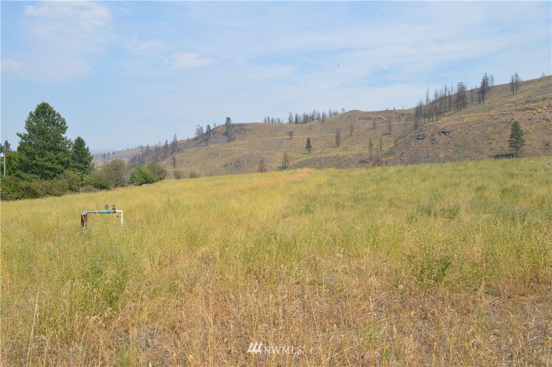 2 Ross Road Twisp, WA 98856 - Photo 4 of 5 Gallery Image 4