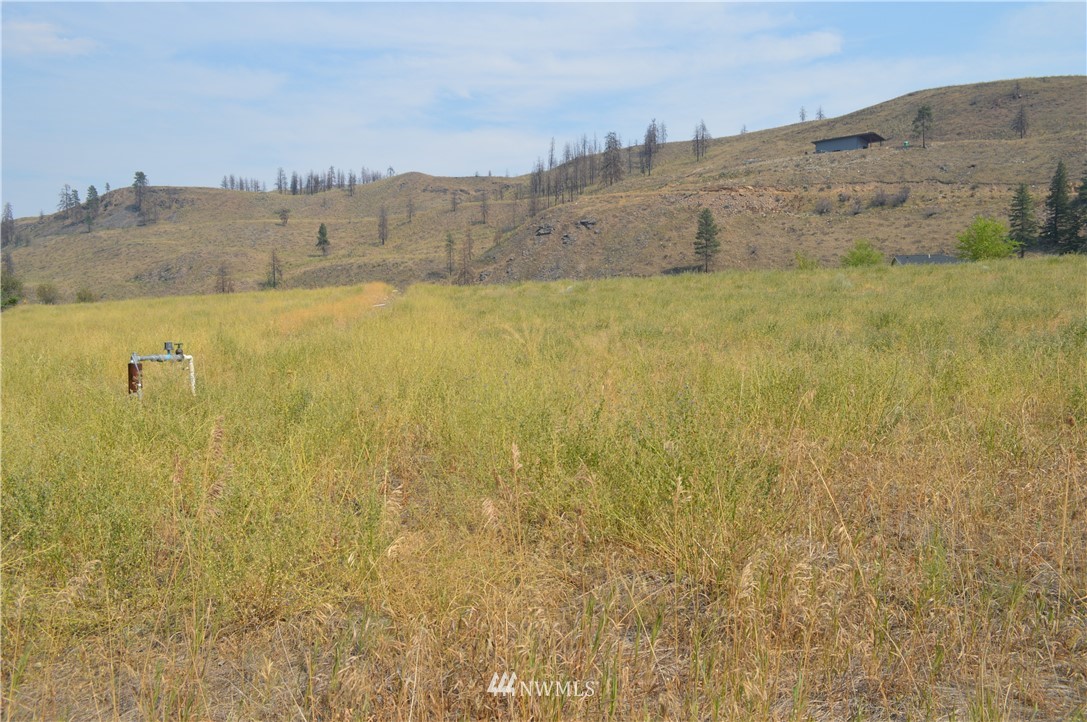 2 Ross Road Twisp, WA 98856 - Photo 5 of 5 Gallery Image 5