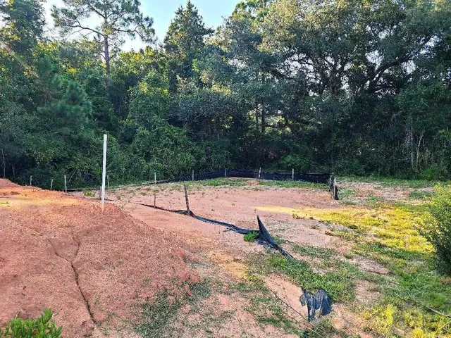 a view of a backyard with large trees