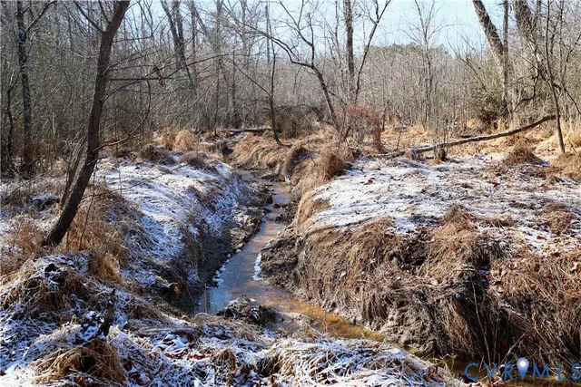 $99,500 | 0 Beaver Acres Lane, Buffalo Junction, VA 24529