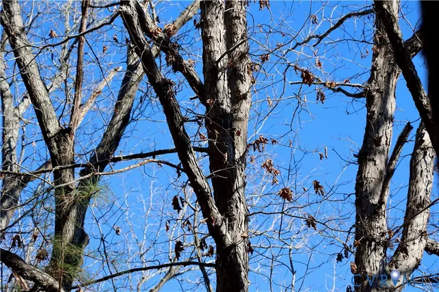 $99,500 | 0 Beaver Acres Lane, Buffalo Junction, VA 24529