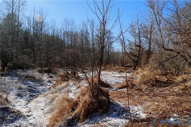 $99,500 | 0 Beaver Acres Lane, Buffalo Junction, VA 24529