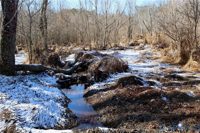 $99,500 | 0 Beaver Acres Lane, Buffalo Junction, VA 24529