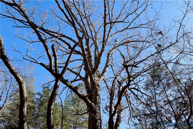 $99,500 | 0 Beaver Acres Lane, Buffalo Junction, VA 24529