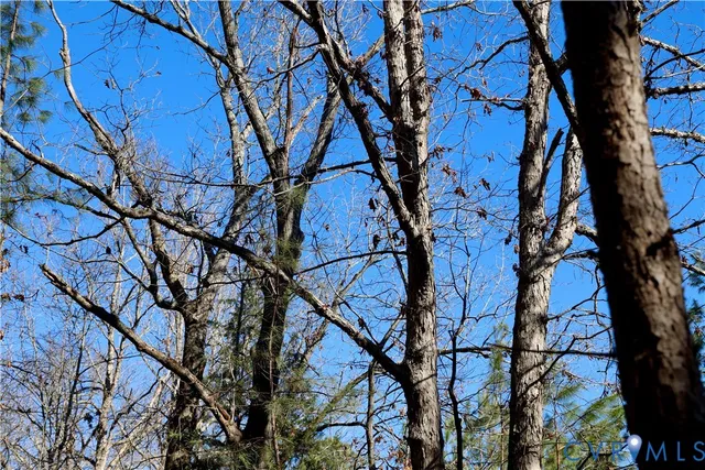 $99,500 | 0 Beaver Acres Lane, Buffalo Junction, VA 24529