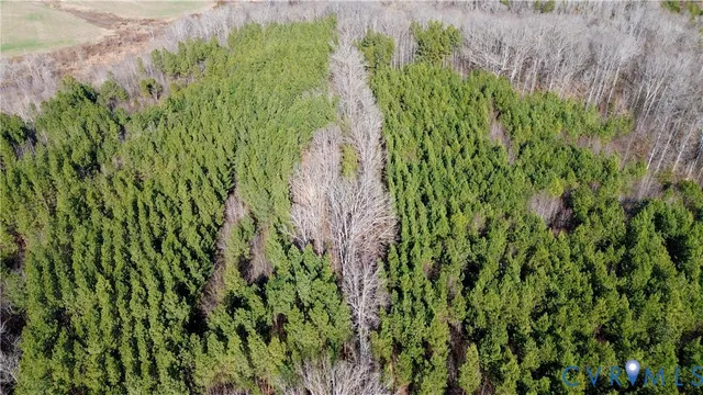 $99,500 | 0 Beaver Acres Lane, Buffalo Junction, VA 24529