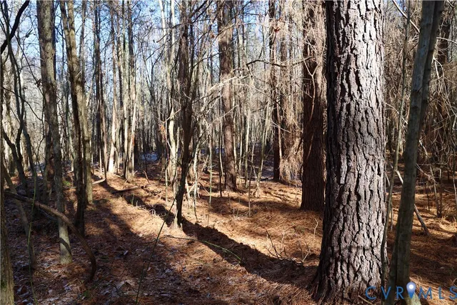 $99,500 | 0 Beaver Acres Lane, Buffalo Junction, VA 24529