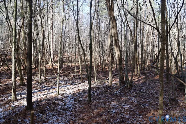 $99,500 | 0 Beaver Acres Lane, Buffalo Junction, VA 24529