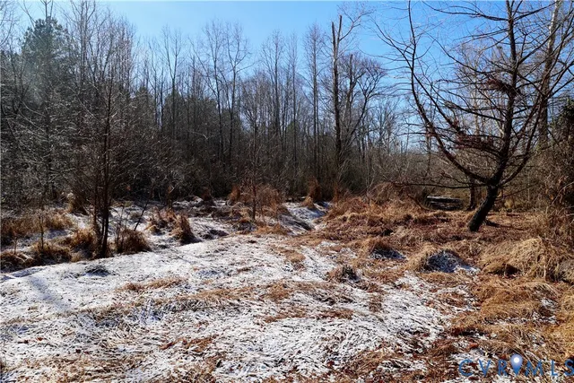 $99,500 | 0 Beaver Acres Lane, Buffalo Junction, VA 24529