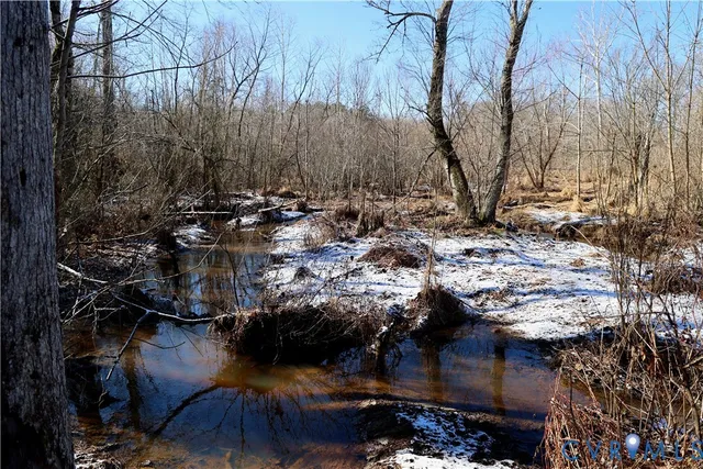 $99,500 | 0 Beaver Acres Lane, Buffalo Junction, VA 24529