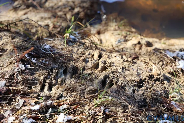 $99,500 | 0 Beaver Acres Lane, Buffalo Junction, VA 24529