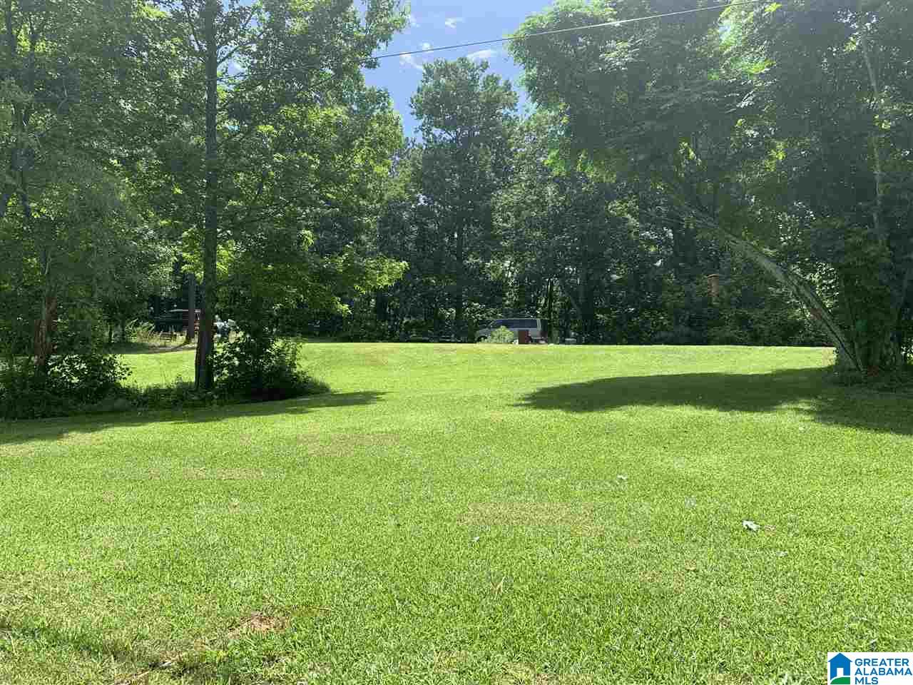 54 Sky Hawk Lane Oneonta, AL 35121 - Photo 14 of 14