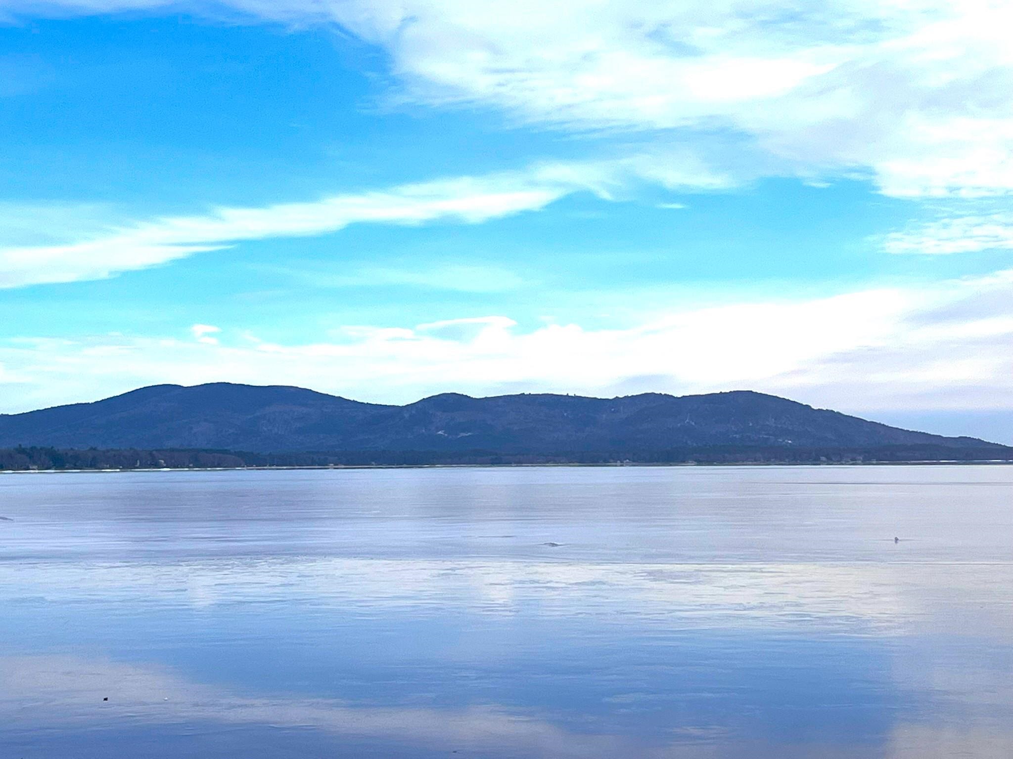 20 Danville Road Ossipee, NH 03814 - Photo 4 of 38