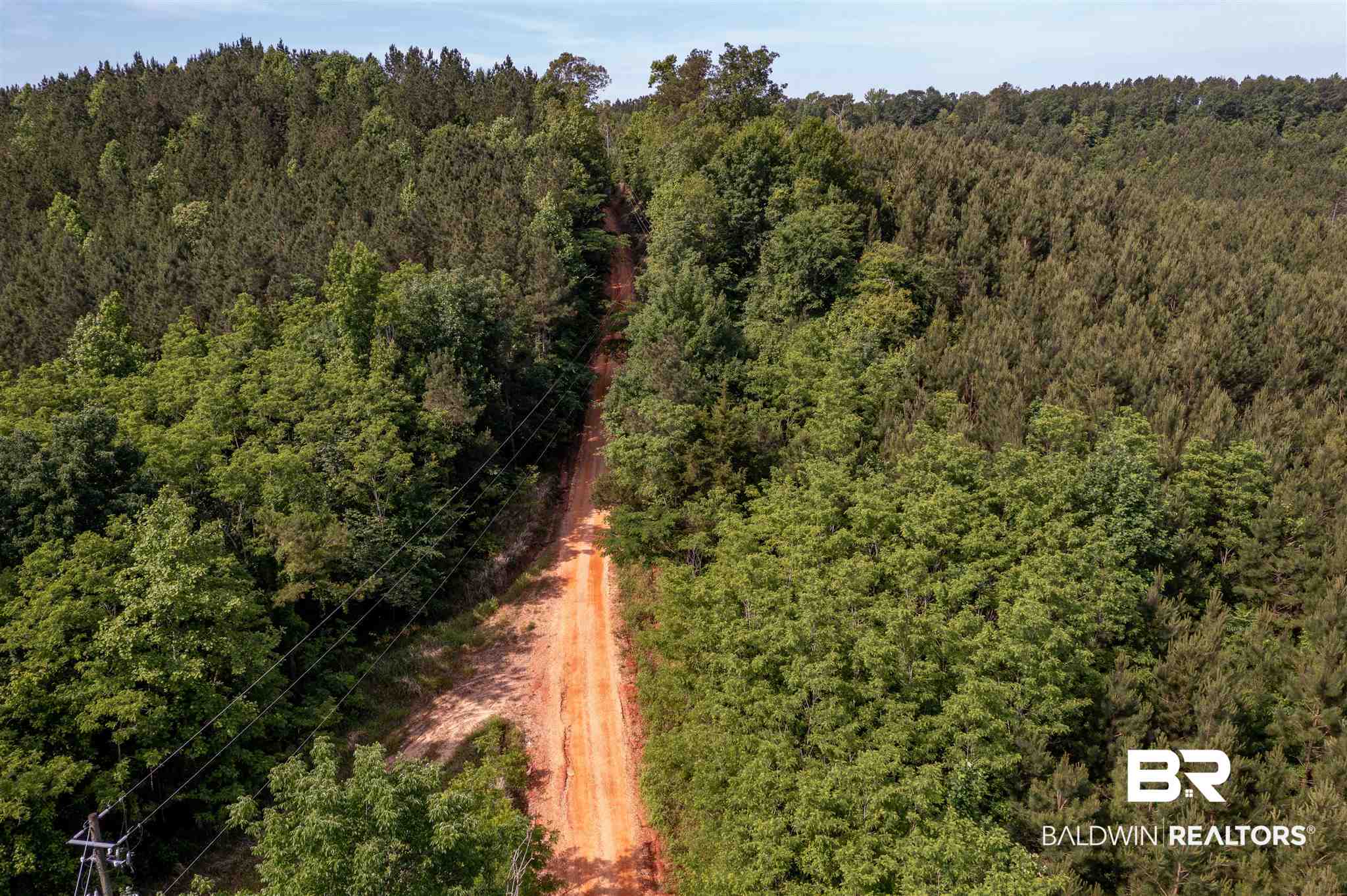 127 Creek Road Gilbertown, AL 36908 - Photo 11 of 18